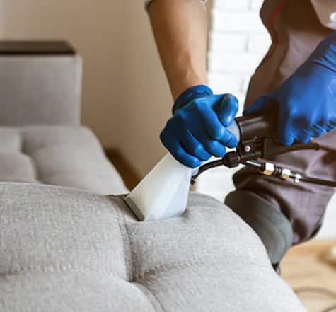 best-couch-cleaning-services-Lethbridge Park
