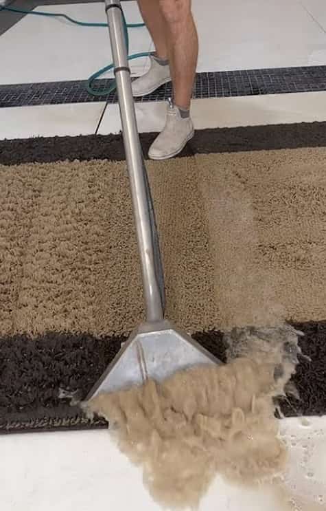 Expert Rug Cleaning Buff Point