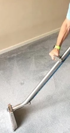 local carpet cleaners