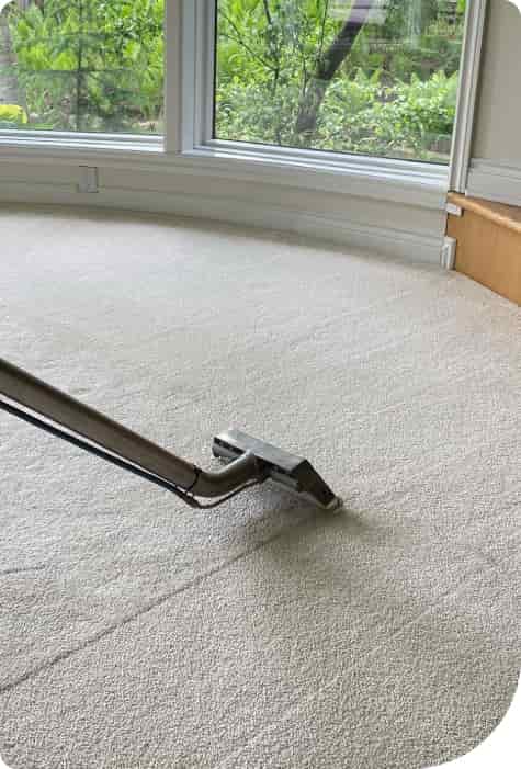 Professional Carpet Cleaning Ermington