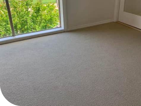 Same Day Carpet Cleaning Kingsway West