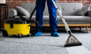 Carpet Cleaning Services Near