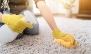 Carpet Odour Removal