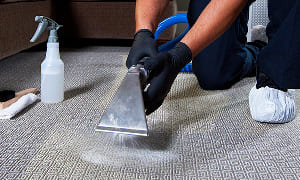 Carpet Sanitizing