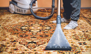 Rug and Carpet Cleaning